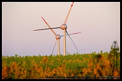 Farma wiatrowa w Połczynie - fot. Joanna Czapp